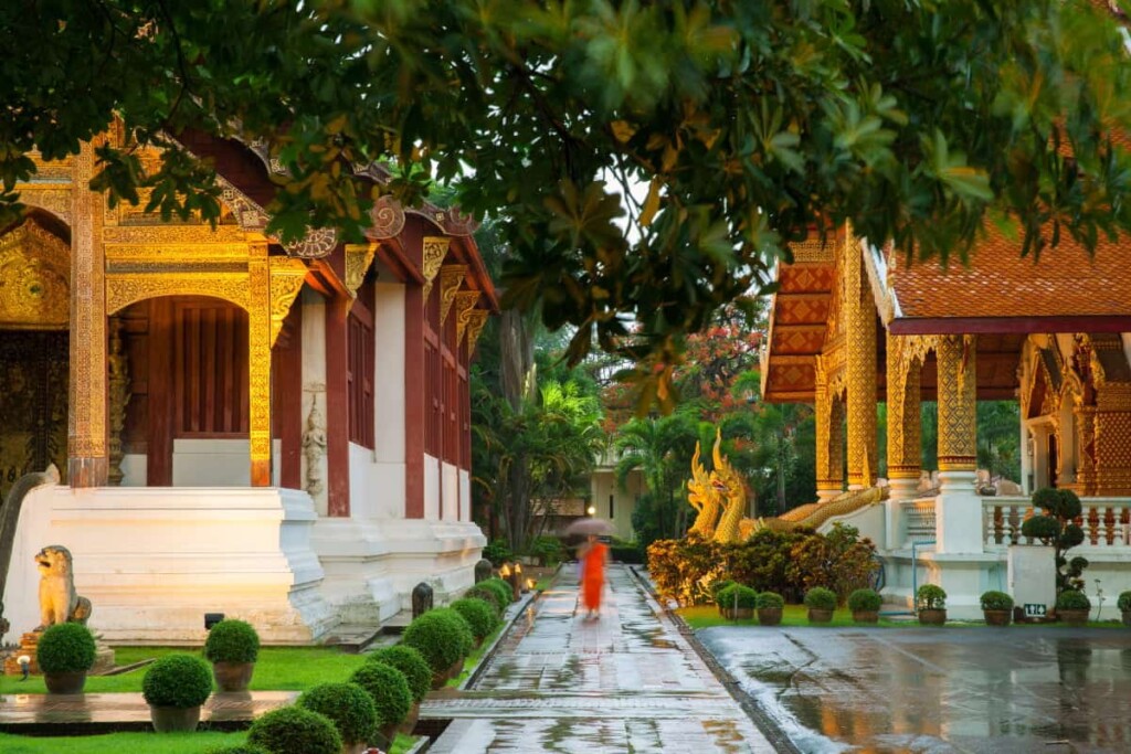 Monk Walking Under An Umbrella At The Wat Phra Sin 2022 11 01 07 35 47 Utc