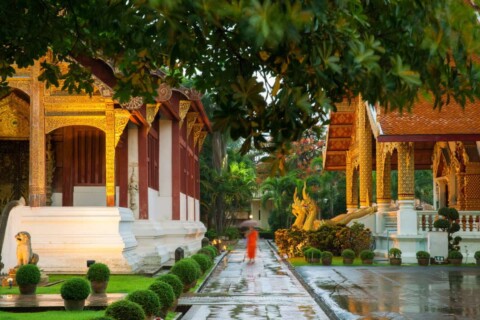 Monk Walking Under An Umbrella At The Wat Phra Sin 2022 11 01 07 35 47 Utc