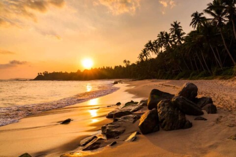 Beautiful sunset on the beach with palms on a Philippines