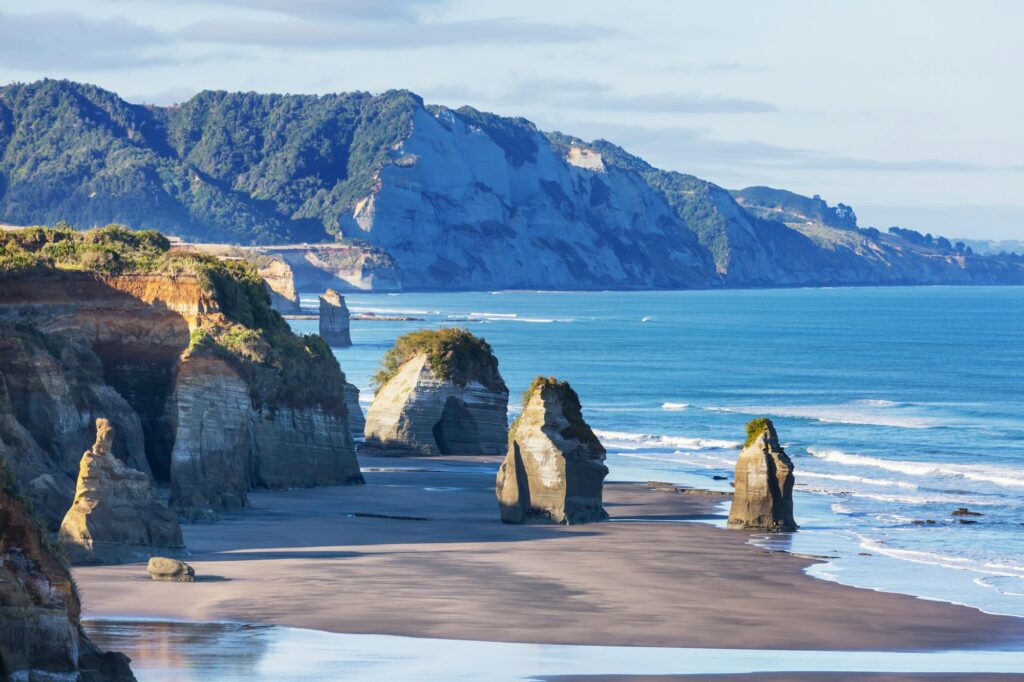 New Zealand coast