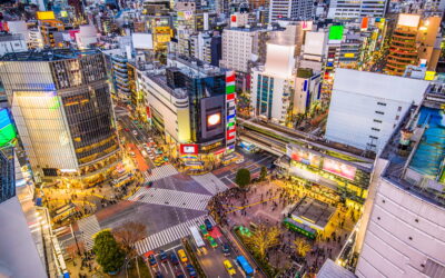 Shibuya: My Tokyo Love Affair