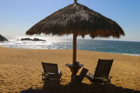 Mayto. Mexico Palapa