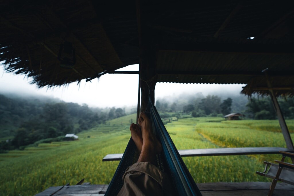In A Wooden Hut In A Green Rice Field