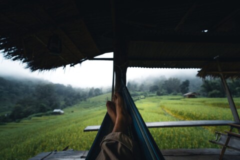 In A Wooden Hut In A Green Rice Field