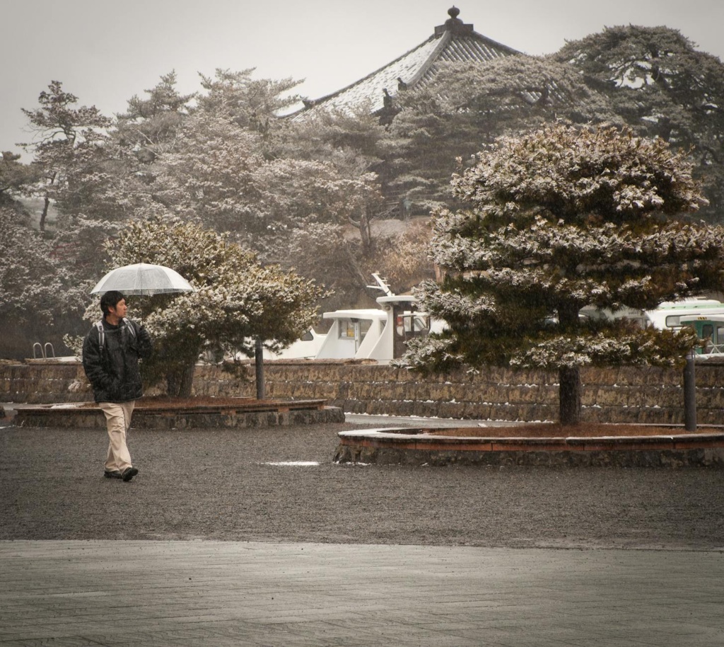 a man walking in the rain with an umbrella in Japan